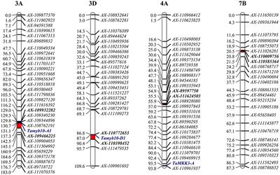 Genome-Wide Linkage Mapping for Preharvest Sprouting Resistance in Wheat Using 15K Single-Nucleotide Polymorphism Arrays